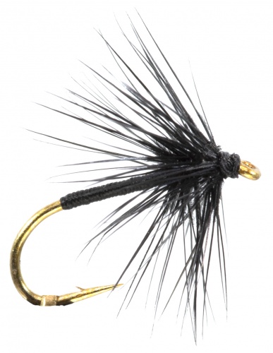 The Essential Fly Black Spider Wet Fishing Fly